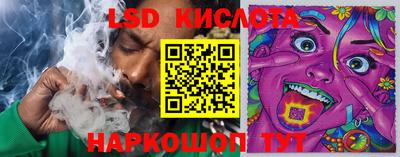 индика Пенза