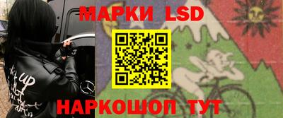 индика Пенза