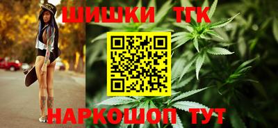 индика Пенза